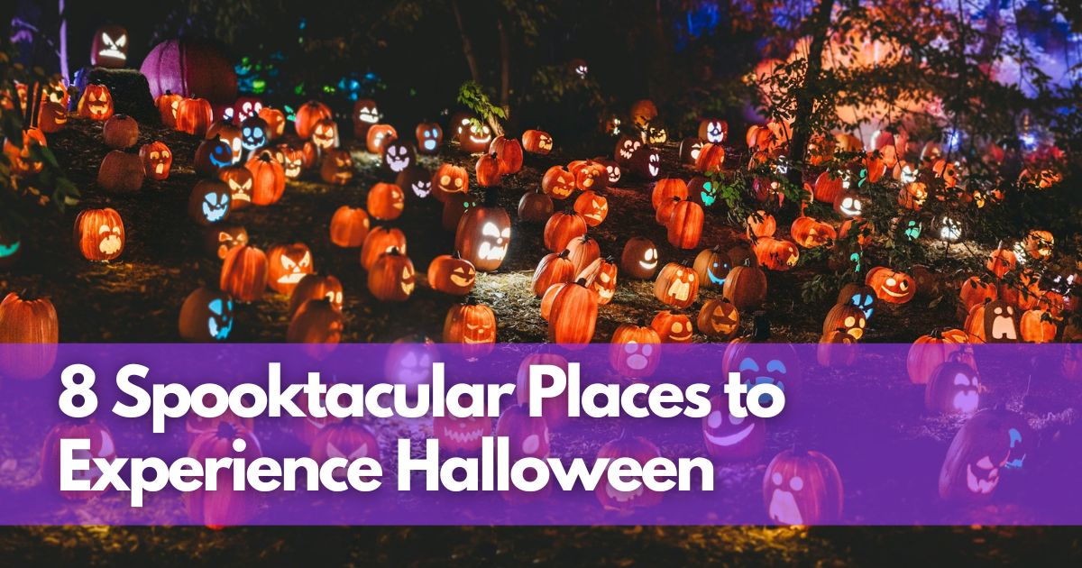 Cover Image for 8 Spooktacular Places to Experience Halloween: Thrills, Chills, and Haunted Hills