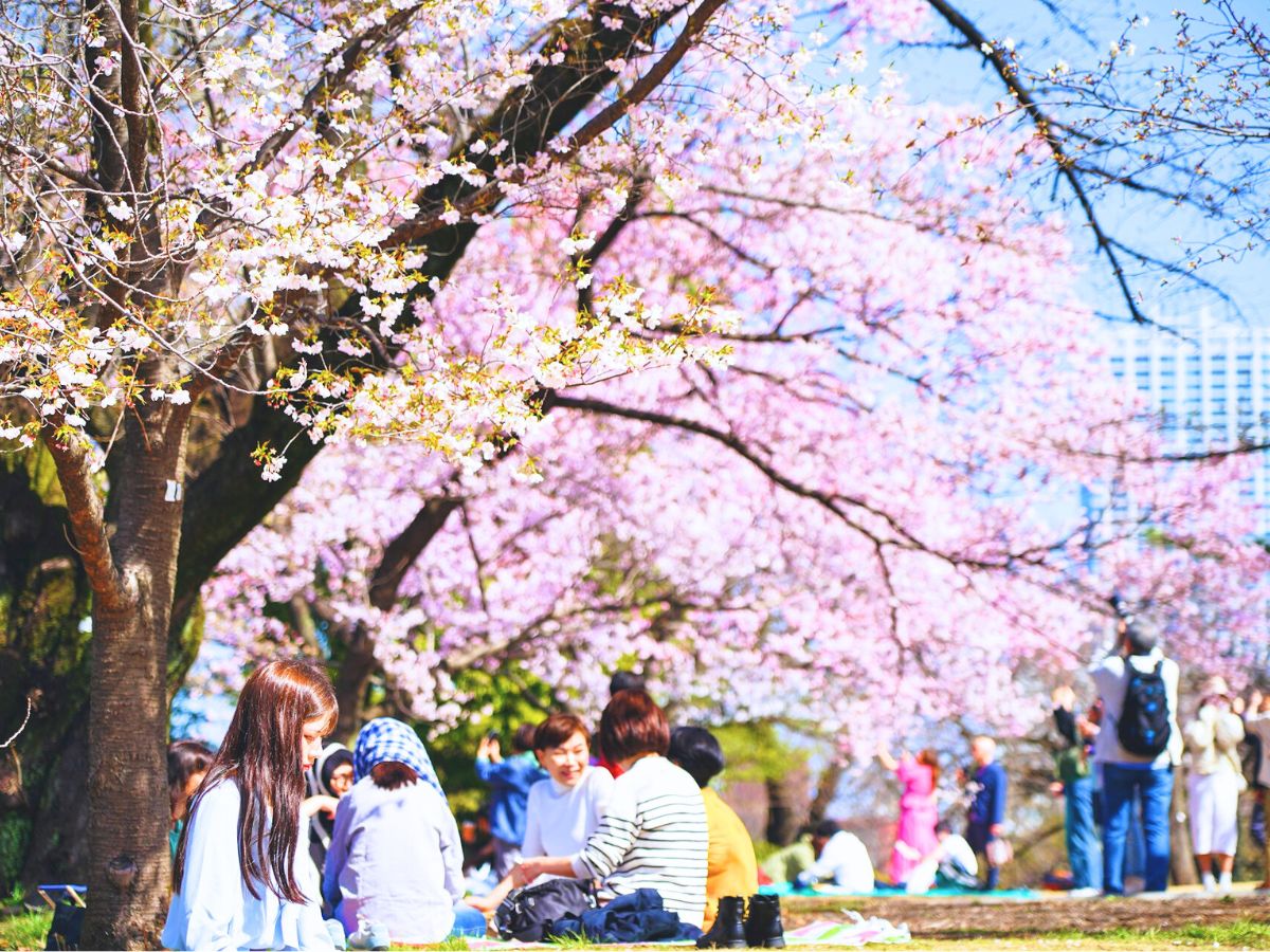 Shinjuku Gyoen